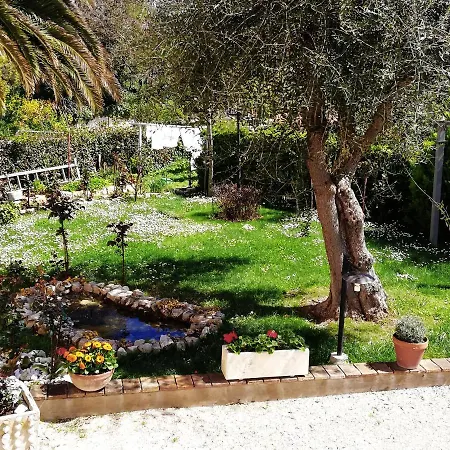 La Ginestra 3* סירולו